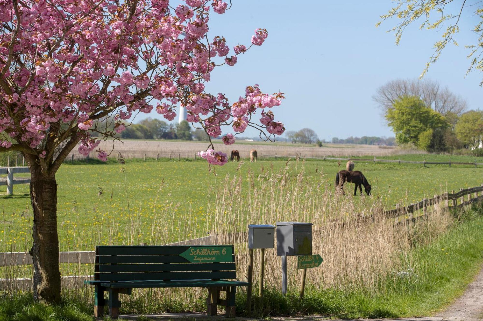 Fischerhaeuschen Am Kurpark Neuharlingersiel Eksteriør billede